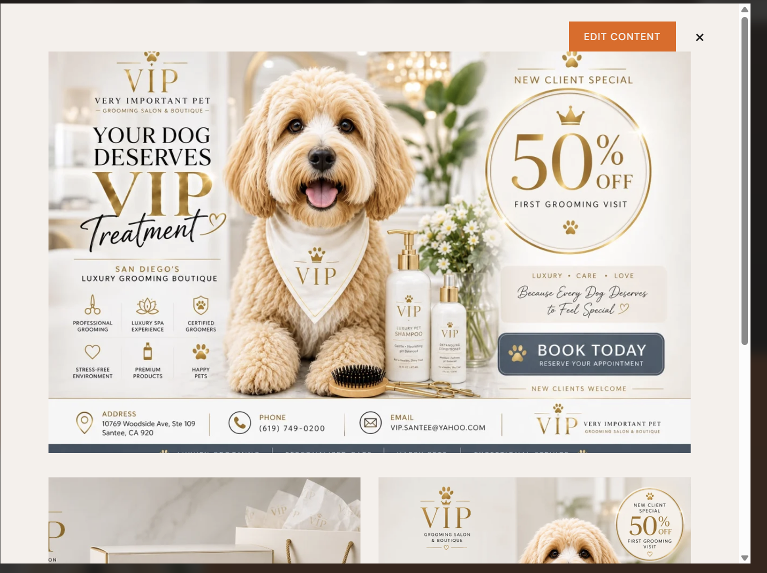VIP Grooming project